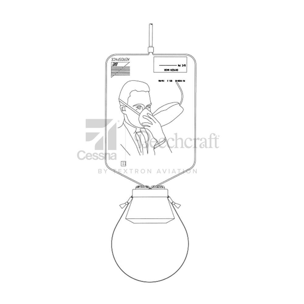 174290-21 | Oxygen Mask Assembly