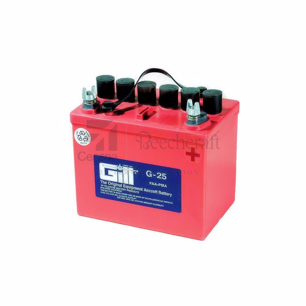 G-25 | Gill Teledyne 12 Volt 18 Amp Hours Dry Charged Battery