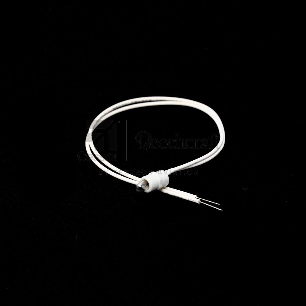S2458-1|LAMP