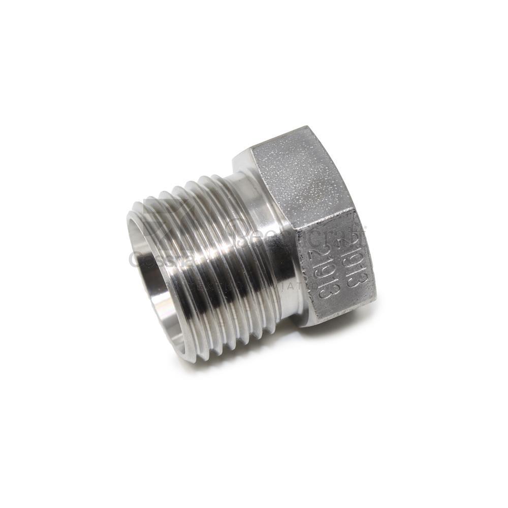 MS21913J10|PLUG