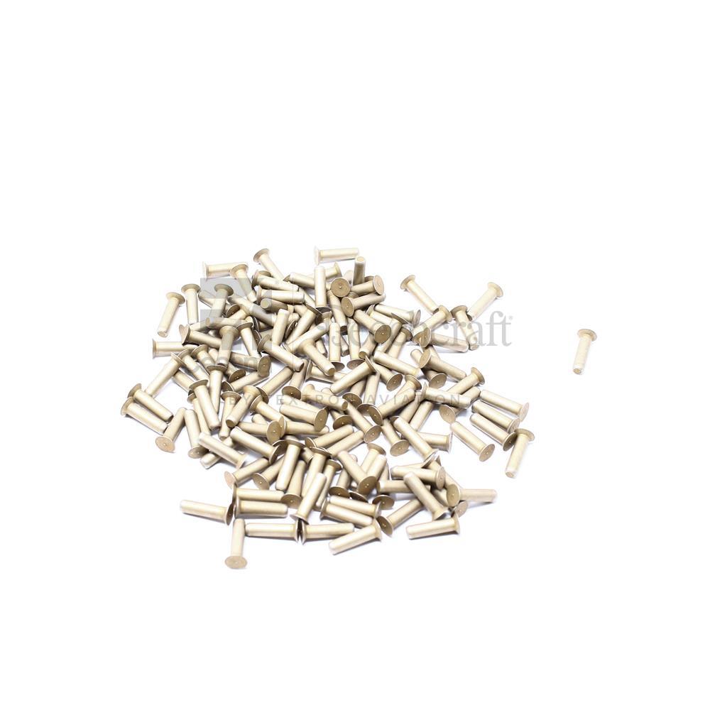 MS20426D5-10|RIVET