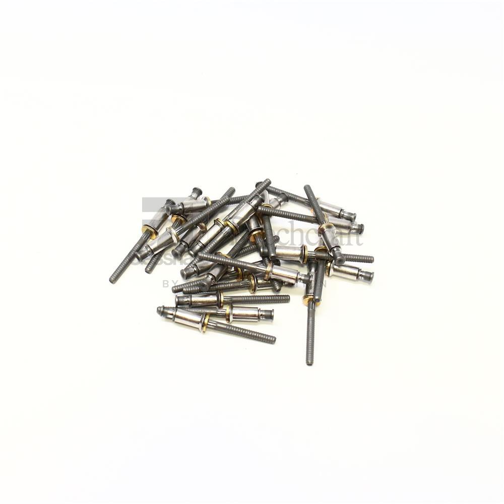 CR3524-6-04|RIVET