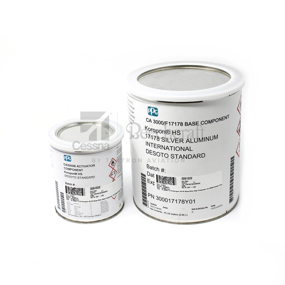 CA 3000/F17178|GLOSS SILVER EPOXY KIT